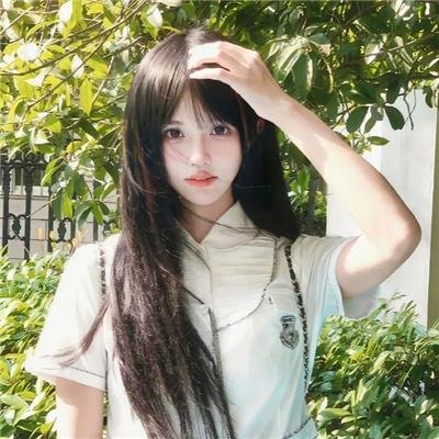 被驱逐的馆长
